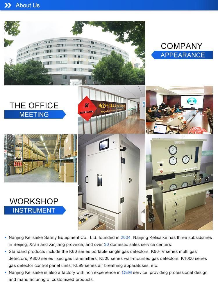 Gas Multi Detector Combustible or Toxic Gas H2s Gas Alarm Best Price Gas Leak Alarm