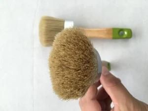 Professional Purdy Wooster Style Paint Brush Lowes Angle Sash Flat Sash Wall Paint Brush, Chalk and Wax Brush (Danyang reida brush 096)