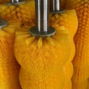 Industrial Potato Ginger Avocado Fruit Roller Brush for Cleaning/Washing Machine China