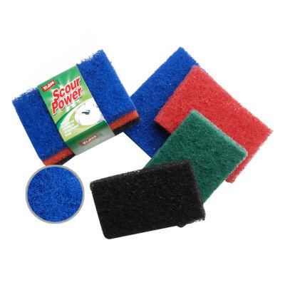 Nylon Scouring Pad Brush with Handle (6019)