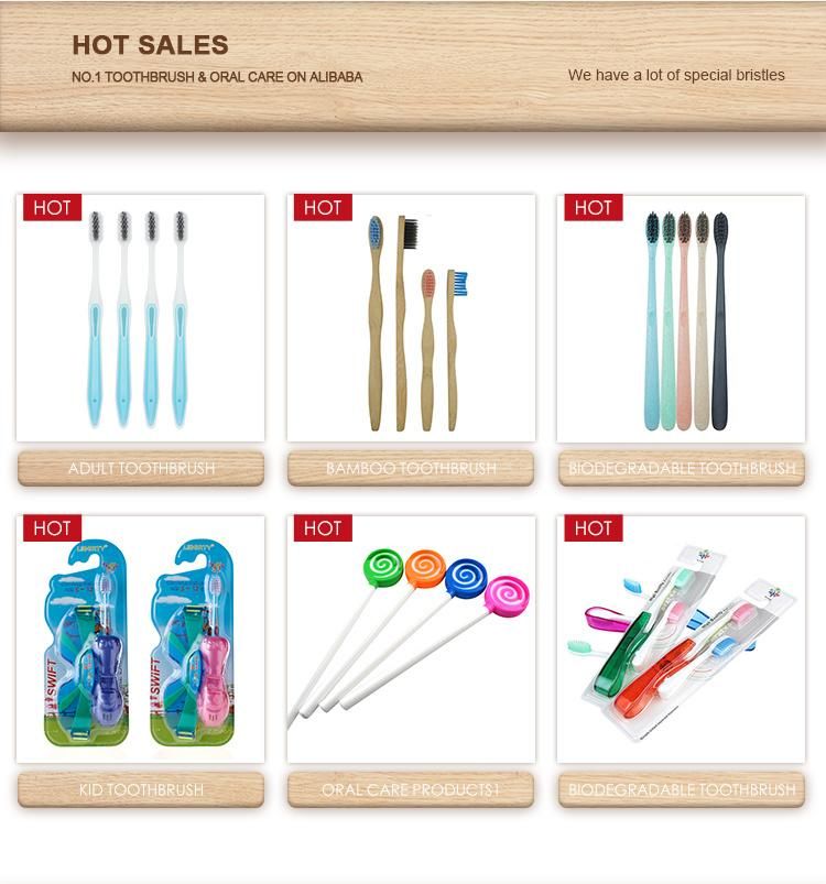 Competitive Price Hot Selling Bristle Paint Brush