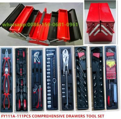 111PCS Professional Cheap Iron Case Tool Set (FY111A)