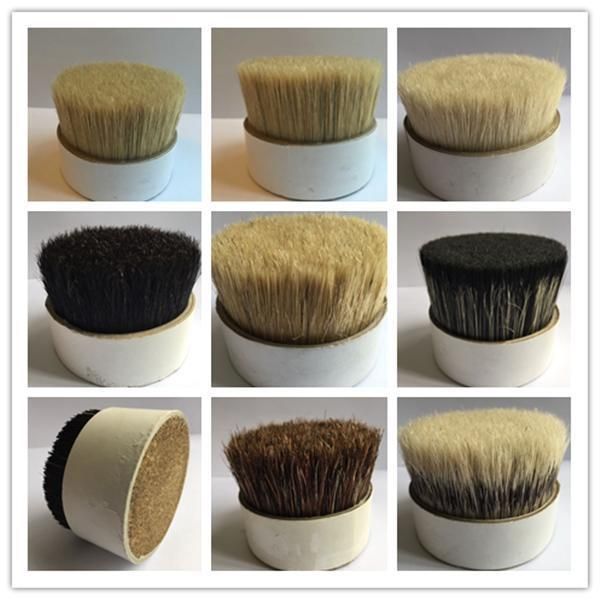 Pet Hollow Tapered Filament Plastic Bristles