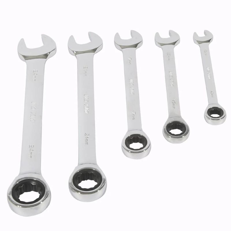 Internationally Common High Quality of Scaffolding Ratchet Wrench