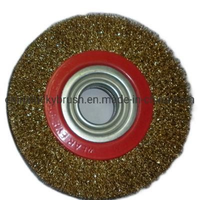 6 Inch Brass Coated Circulare Wheel Brush (YY-074)