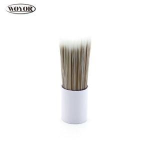 Tapered PBT/Pet Filament for Paint Brush