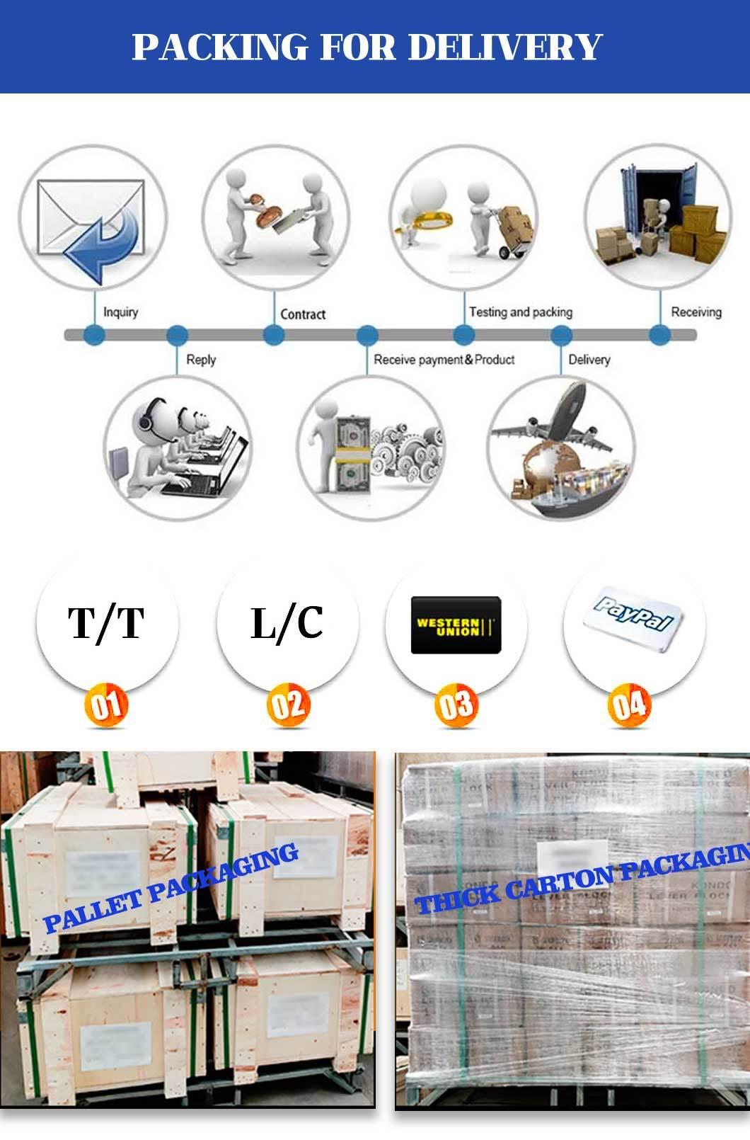 Us Type Standard Forged Ratchet Type Load Binder with High Quality