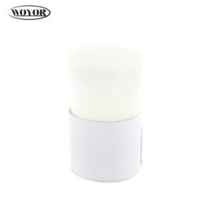 PBT Tapered Filament for Paint Brush