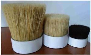 Synthetic Filament for Paint Brush