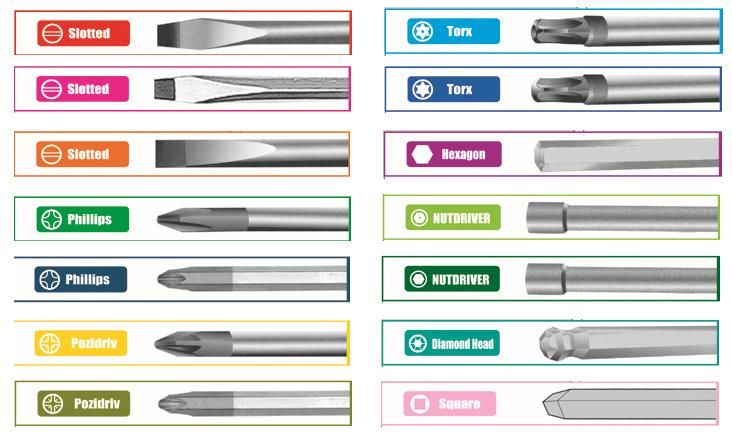 Cr-V Transparent Plastic Handle Philips and Slotted Screwdriver