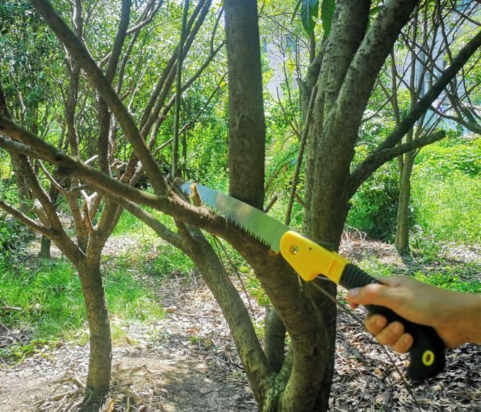 Branch Pruning Saw Tree Cutting Folding Blade Handsaw Steel Blade Plastic Hand Saw