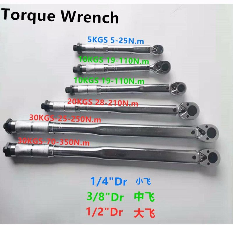 10PCS 1/4"Dr (6.35mm) Bicycle Repair Torque Wrench Tool Set (FY1910TQ)