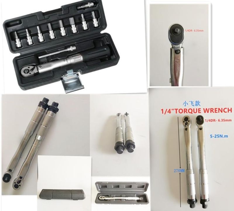 10PCS 1/4"Dr (6.35mm) Bicycle Repair Torque Wrench Tool Set (FY1910TQ)