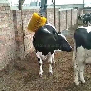 Hot Sale Cylinder Nylon Cow Brush for Dairy Farm Made in China