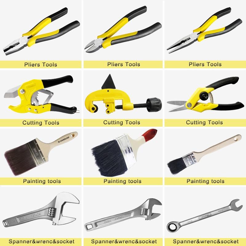 Combination Pliers Ame Type