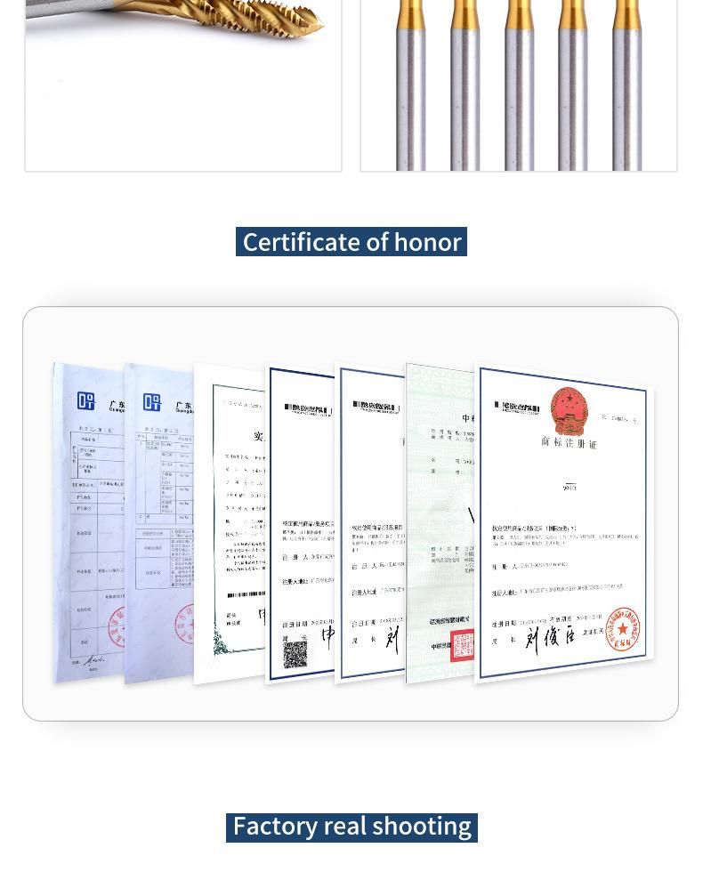 Hsse-M35 Long Shank 100mm with Tin Spiral Fluted Taps M1.6 M2 M2.5 M2.6 M3 M3.5 M4 M5 M6 M8 M10 M12 Machine Screw Thread Tap