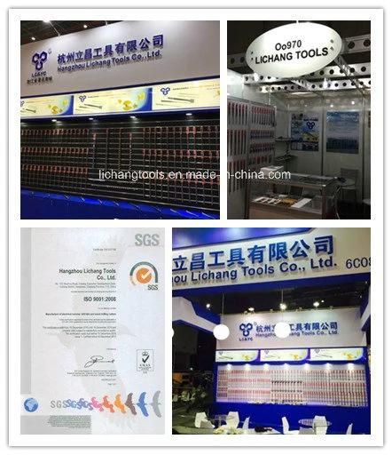 SDS Chisel for Concrete Hydraulic Hammer and Rock Breaker