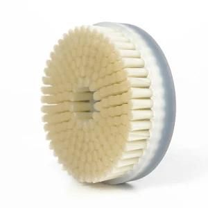 Professional Cheap Superior Quality Disc Brush for Cleaning