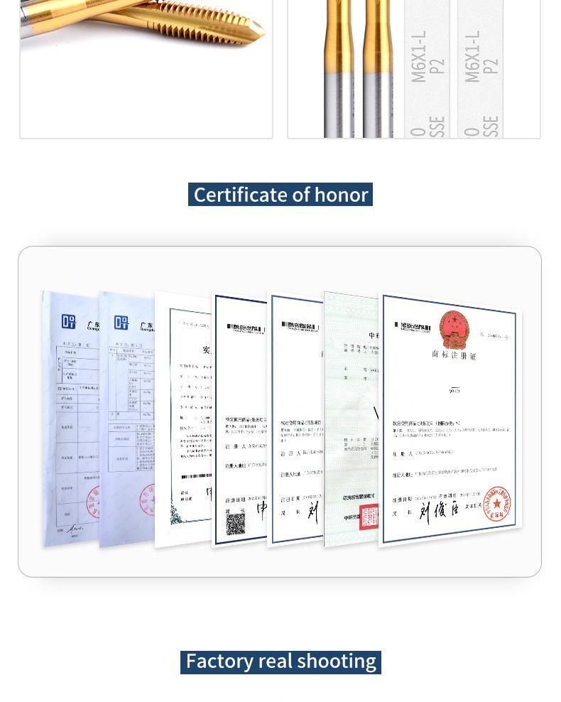 Hsse-M35 Metric with Tin Left Hand Spiral Pointed Taps M3 M4 M5 M6 M8 M10 M12 Machine Screw Thread Tap