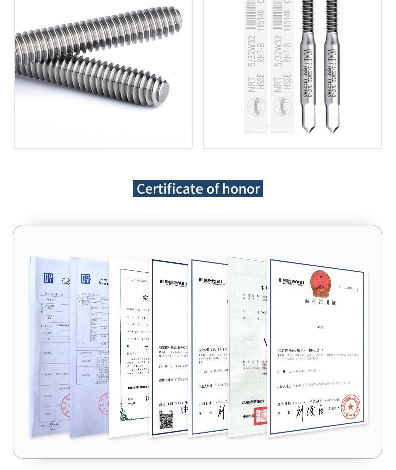 Hsse-M42 JIS Forming Taps W 1/8 5/32 3/16 7/32 1/4 5/16 3/8 7/16 1/2 Machine Thread Screw Tap