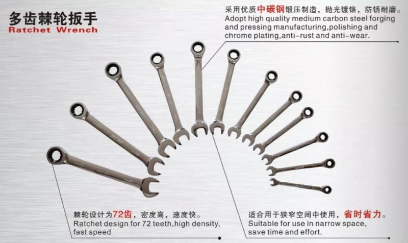 Internationally Common High Quality of Scaffolding Ratchet Wrench