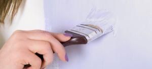 All Size Professional Paintbrush with Good Quality