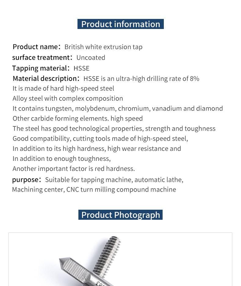 Hsse-M42 JIS Forming Taps W 1/8 5/32 3/16 7/32 1/4 5/16 3/8 7/16 1/2 Machine Thread Screw Tap