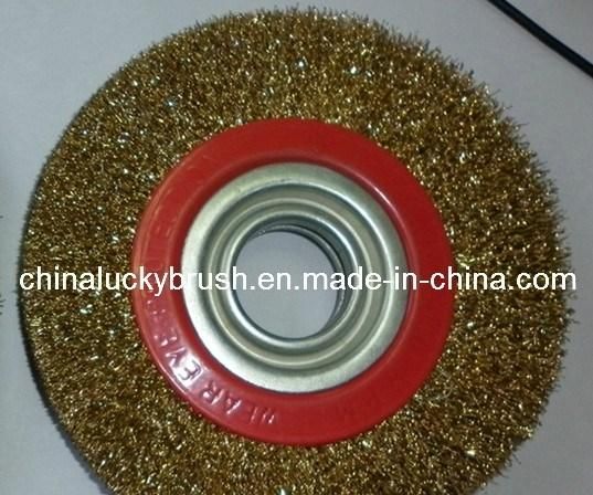 6 Inch Brass Coated Circulare Wheel Brush (YY-074)