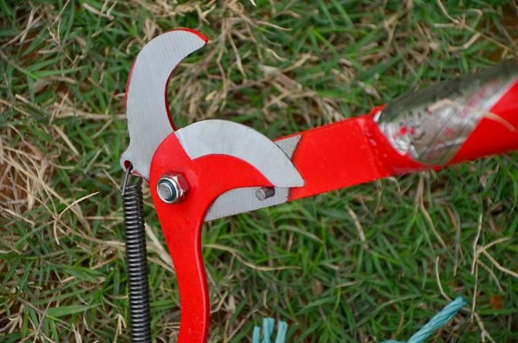 Pruning Saw Cutter Branch Extendable Scissors Fruit Tree Garden Trimmer Tool with Rope Wyz18395