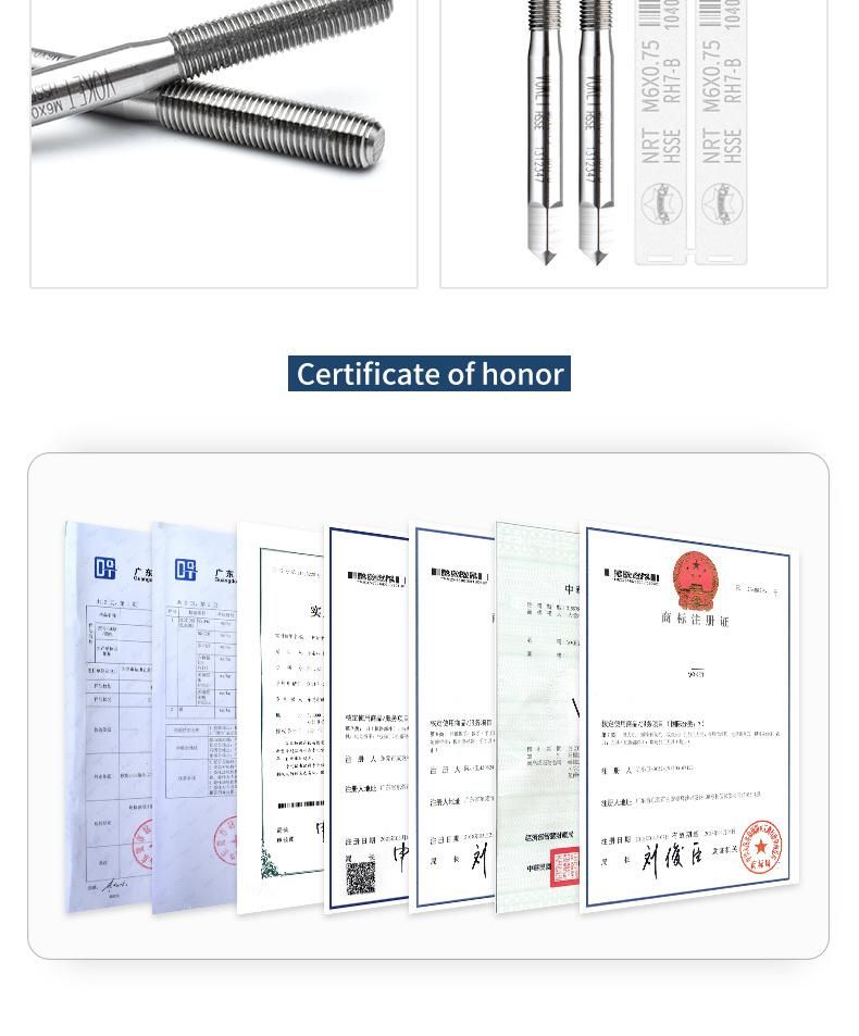 Hsse-M42 Forming Taps M1 M1.2 M1.4 M1.6 M1.7 M1.8 M2 M2.2 M2.5 M2.6 M3 M3.5 M4 M5 M6 Metric Machine Roll Screw Fine Thread Tap