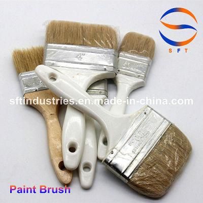 100% Percent Pure Pig Hair Mane Bristlol FRP Brushes
