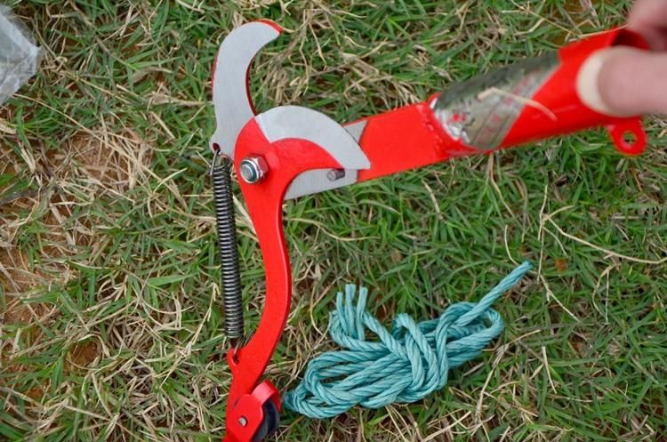 Pruning Saw Cutter Branch Extendable Scissors Fruit Tree Garden Trimmer Tool with Rope Wyz18395