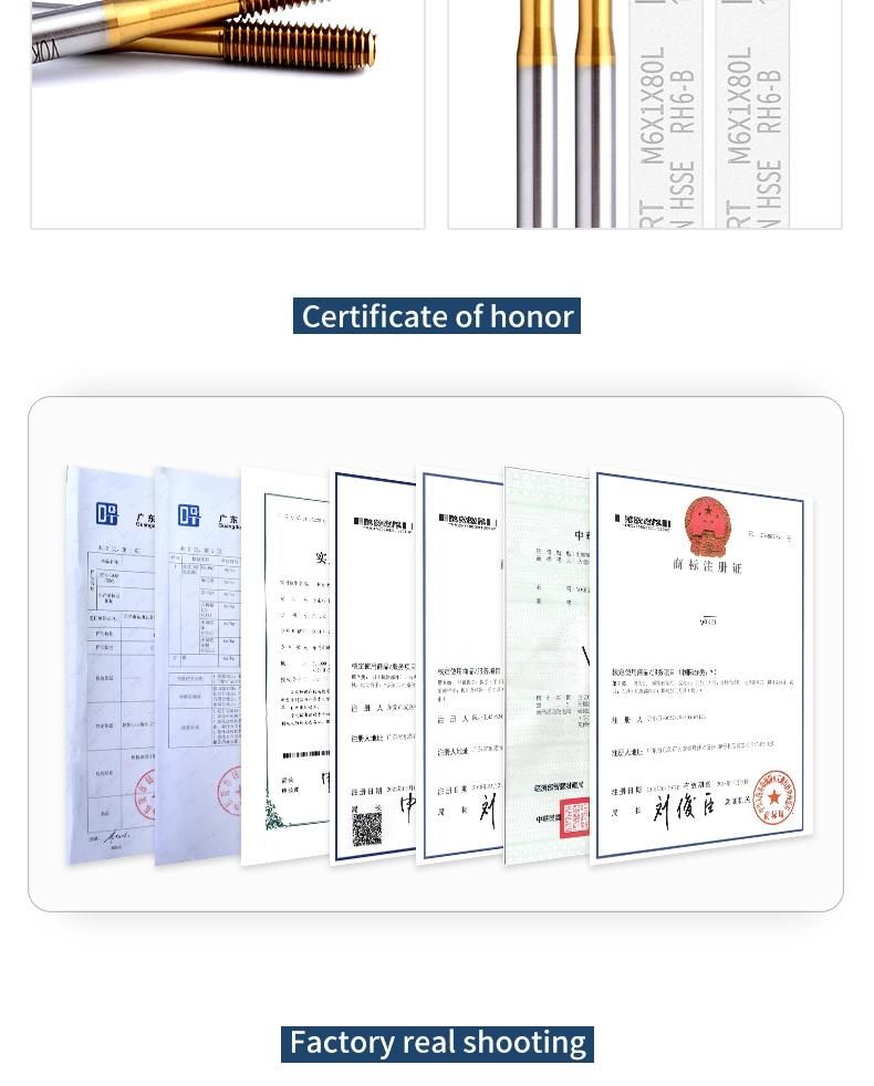 Hsse-M42 JIS Long Shank 80mm with Tin Forming Taps M1.2 M1.4 M1.6 M2 M2.5 M3 M4 M5 M6 Machine Screw Thread Tap