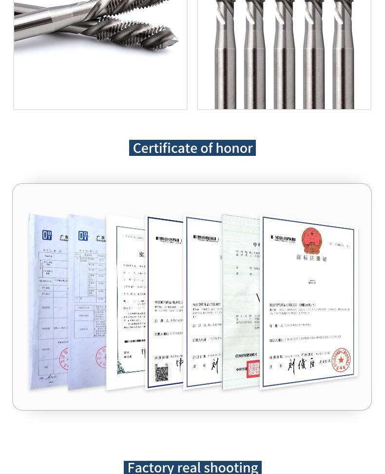 Hsse-M35 Left Hand Spiral Fluted Taps M3 M4 M5 M6 M7 M8 M9 M10 M12 M14 M16 Machine Fine Thread Screw Tap