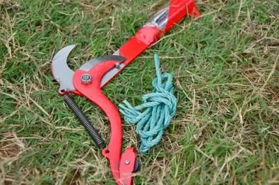 Pruning Saw Cutter Branch Extendable Scissors Fruit Tree Garden Trimmer Tool with Rope Wyz18395