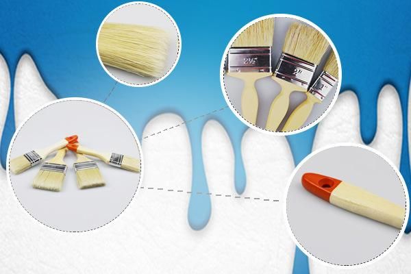 European Market Plasitc Handle Pure Bristle Paint Brush for Wall