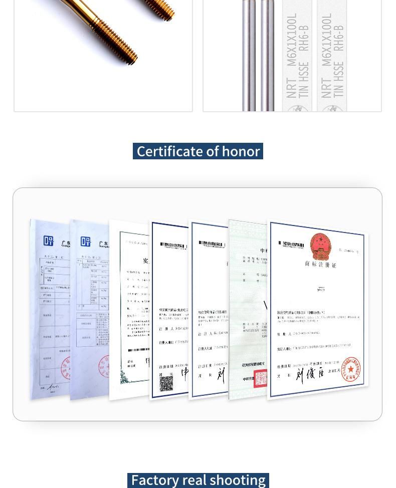 Hsse-M42 JIS Long Shank 100mm with Tin Forming Taps M1.4 M1.6 M2 M2.5 M2.6 M3 M3.5 M4 M5 M6 M8 M10 M12 Machine Screw Thread Tap