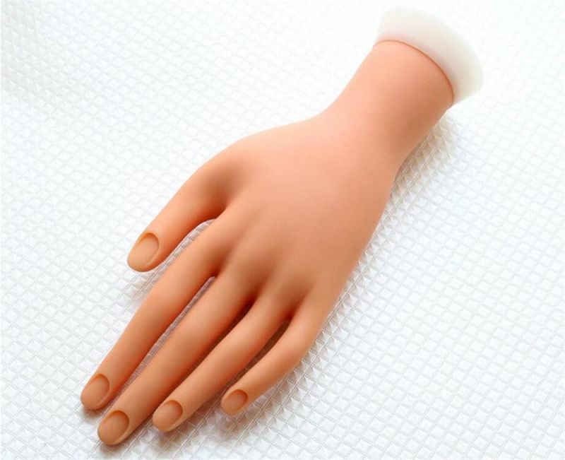 Soft Painting Nail Trainer Hand Mold Nail Art Tool