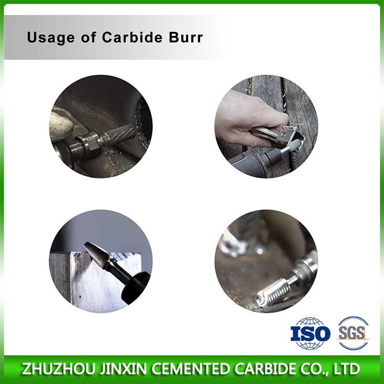 Standard Shank Tungsten Carbide Roatry Burrs Set