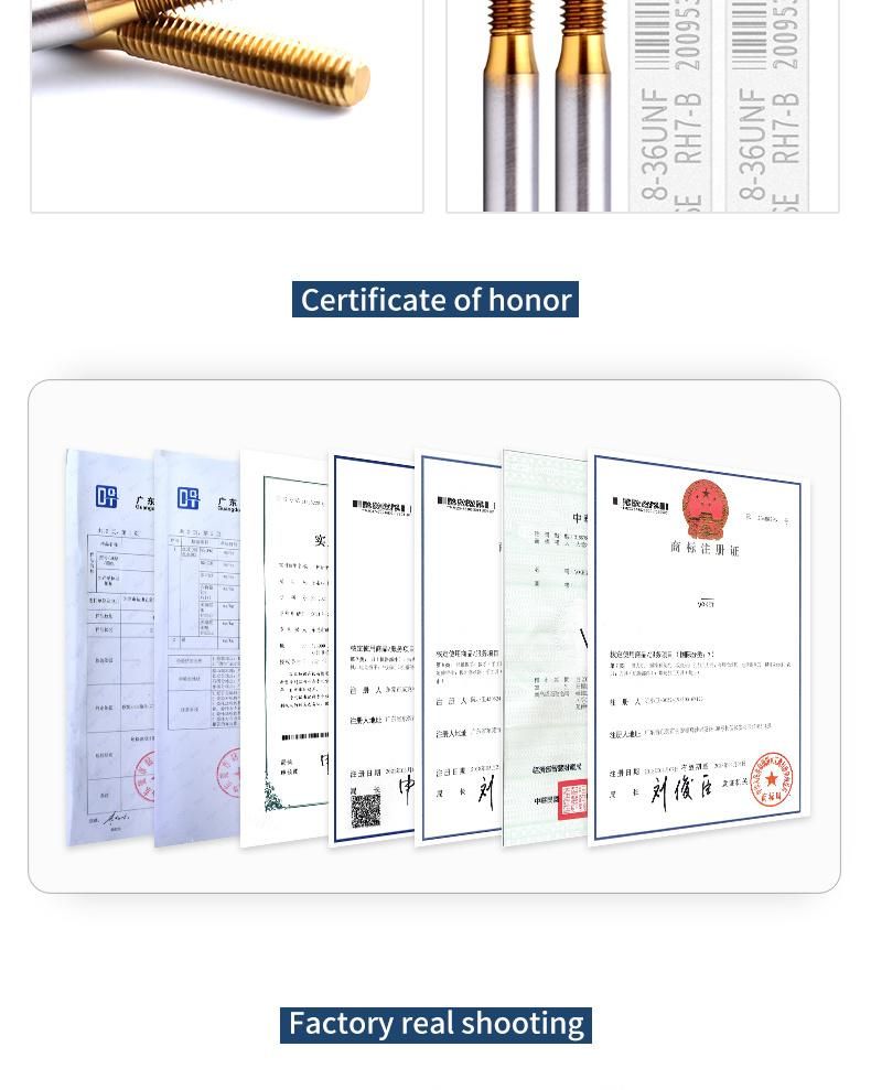 Hsse-M42 JIS with Tin Forming Taps Unf Uns 1/4-28 5/16 3/8 7/16 1/2 9/16 5/8 Machine Roll Tapping Fine Screw Thread Tap