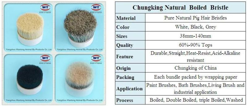 Chungking 90%Tops Natural White Hog Hair