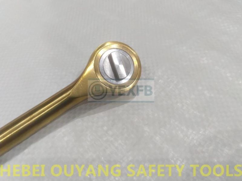 Non-Magnetic Titanium Tools Ratchet Spanner/Wrench, 1/4 Drive