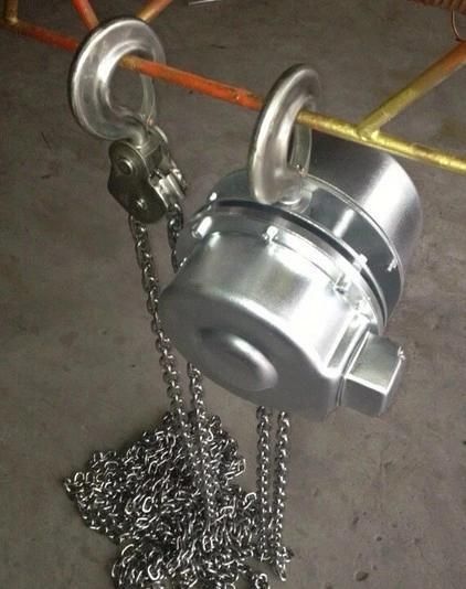 Stainless Hsz Type Endless Chain Block Manual Chain Hoist