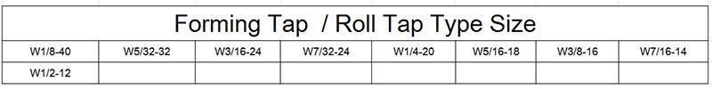 Hsse-M42 JIS Forming Taps W 1/8 5/32 3/16 7/32 1/4 5/16 3/8 7/16 1/2 Machine Thread Screw Tap