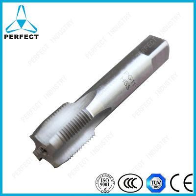DIN40430 Pg Thread Hand Pipe Thread Tap for Steel Pipe Tapping