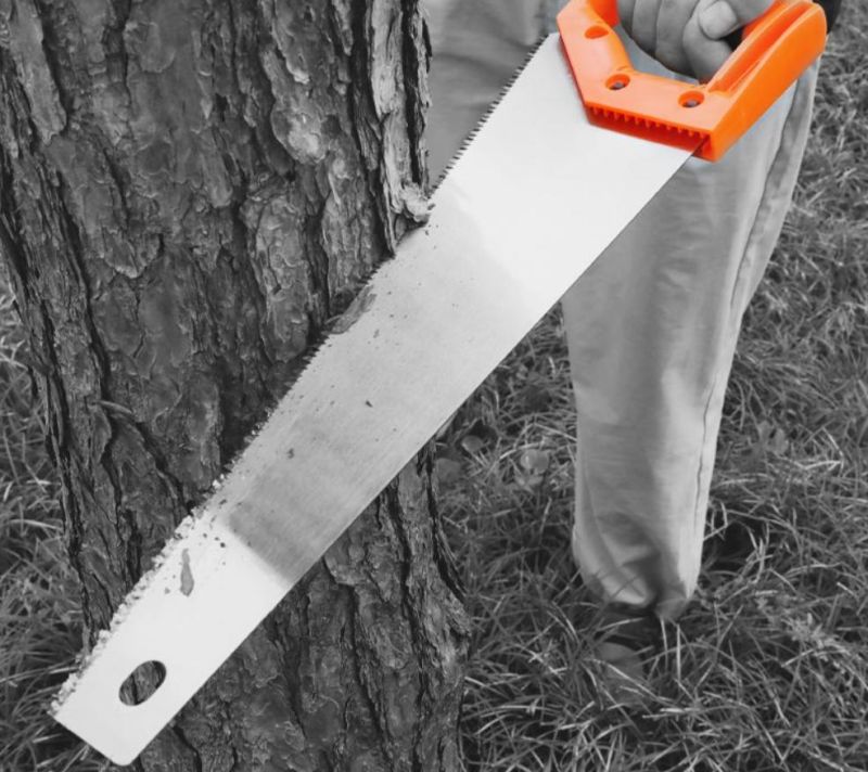 Pruning Woodworking Hand Tools Hand Saw for Gardening