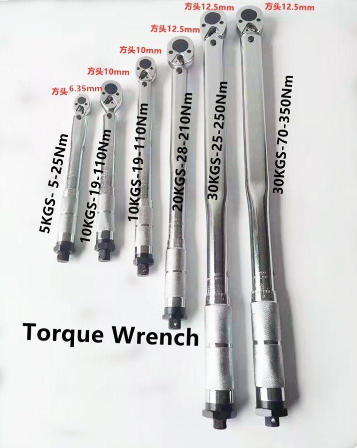 10PCS 1/4"Dr (6.35mm) Bicycle Repair Torque Wrench Tool Set (FY1910TQ)