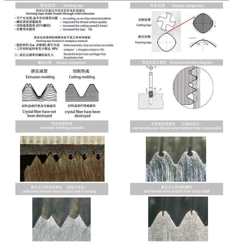 Top Quality Metric Titanium Plated Extrusion Machine Taps M0.8*0.2